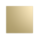 Панель декоративная AEON D100/125 175х175 пластик Champagne DICITI